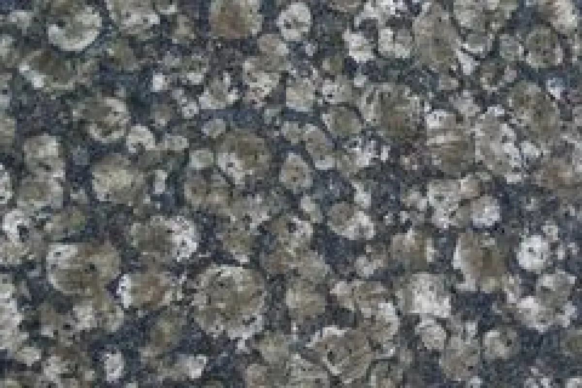 Baltic Green