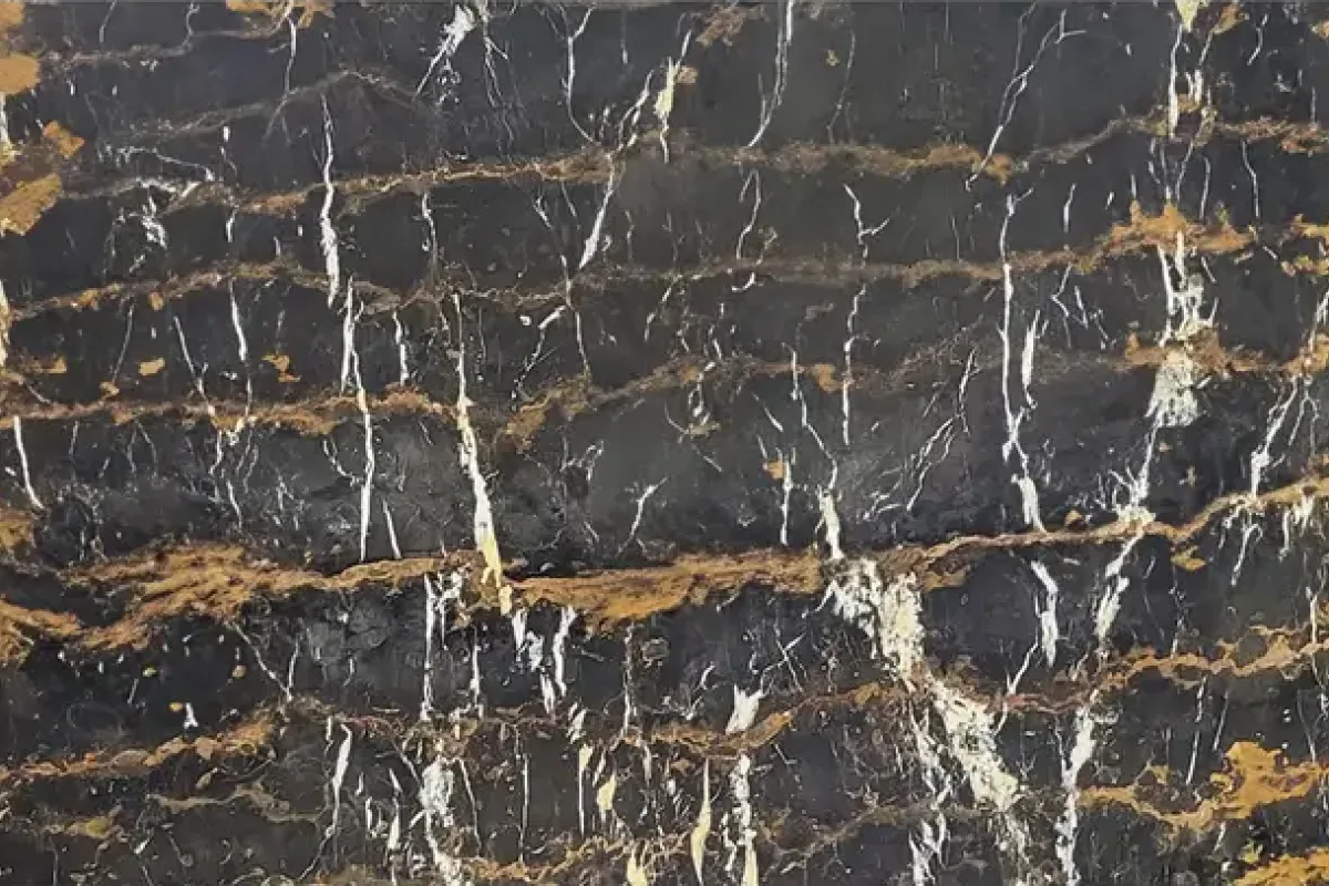 Black Et Gold