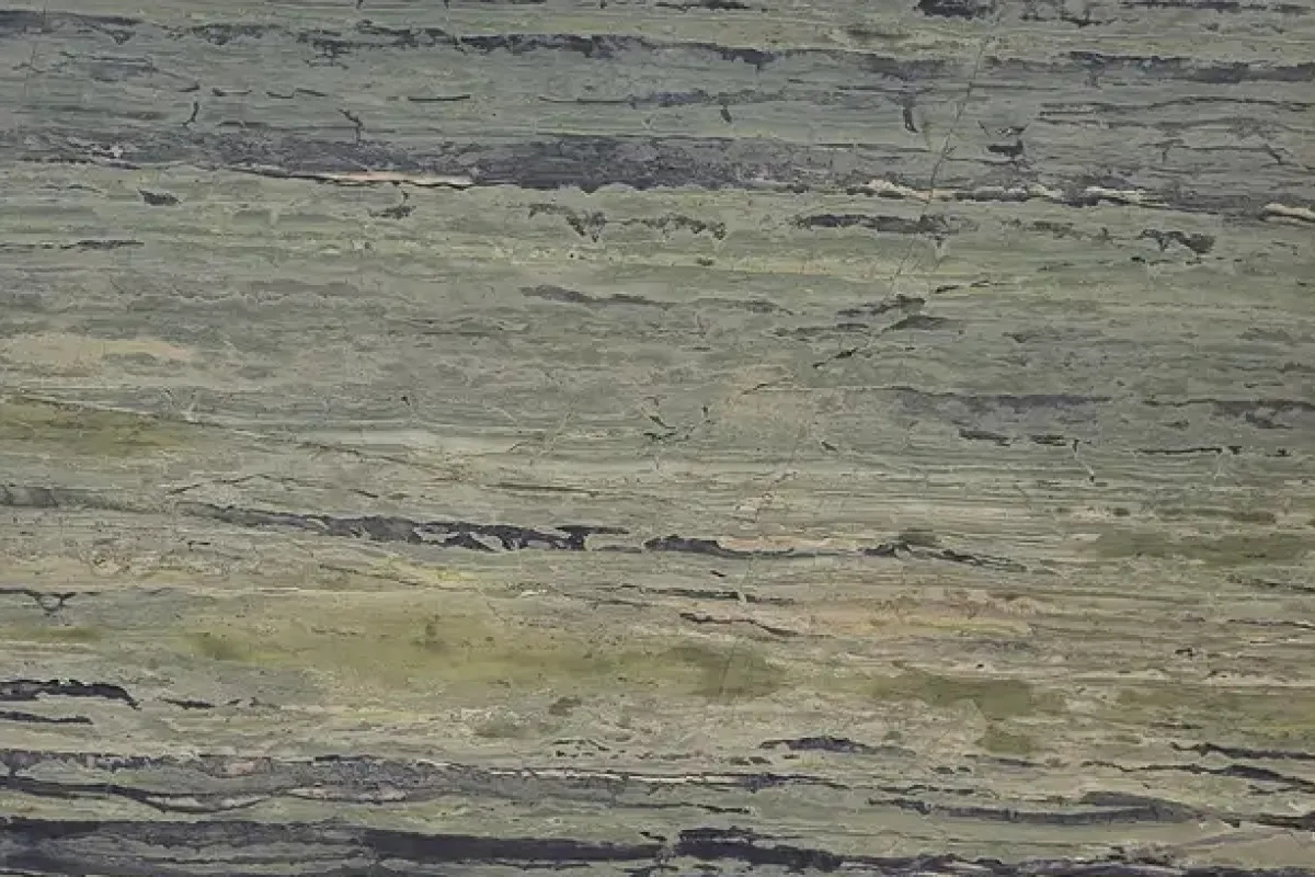 Verde Bamboo