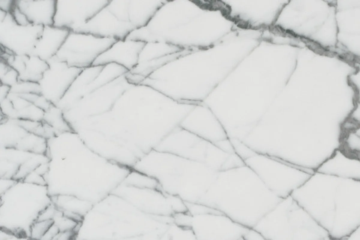 Bianco Venatino