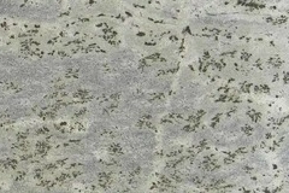 Verde Eucalipto