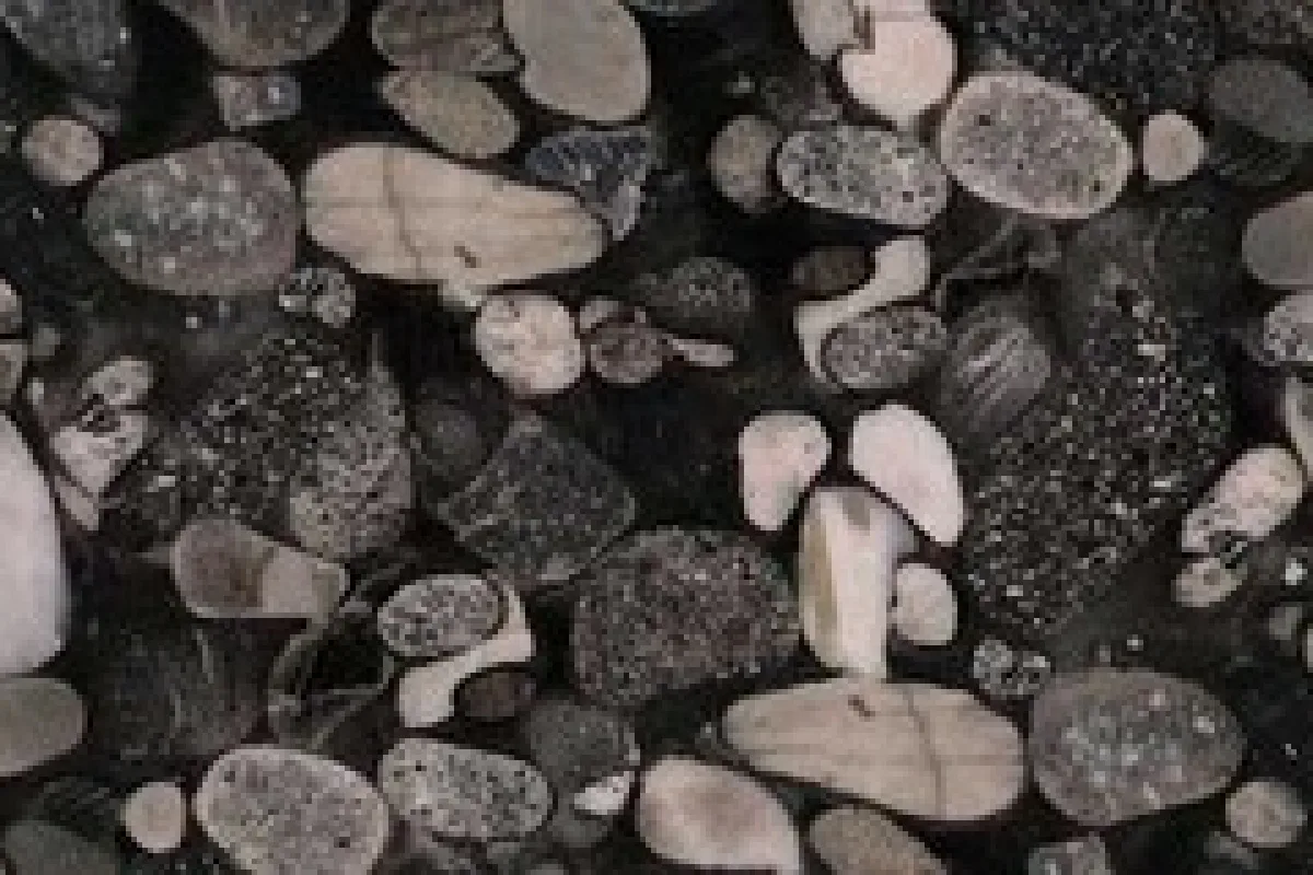 Marinace Black