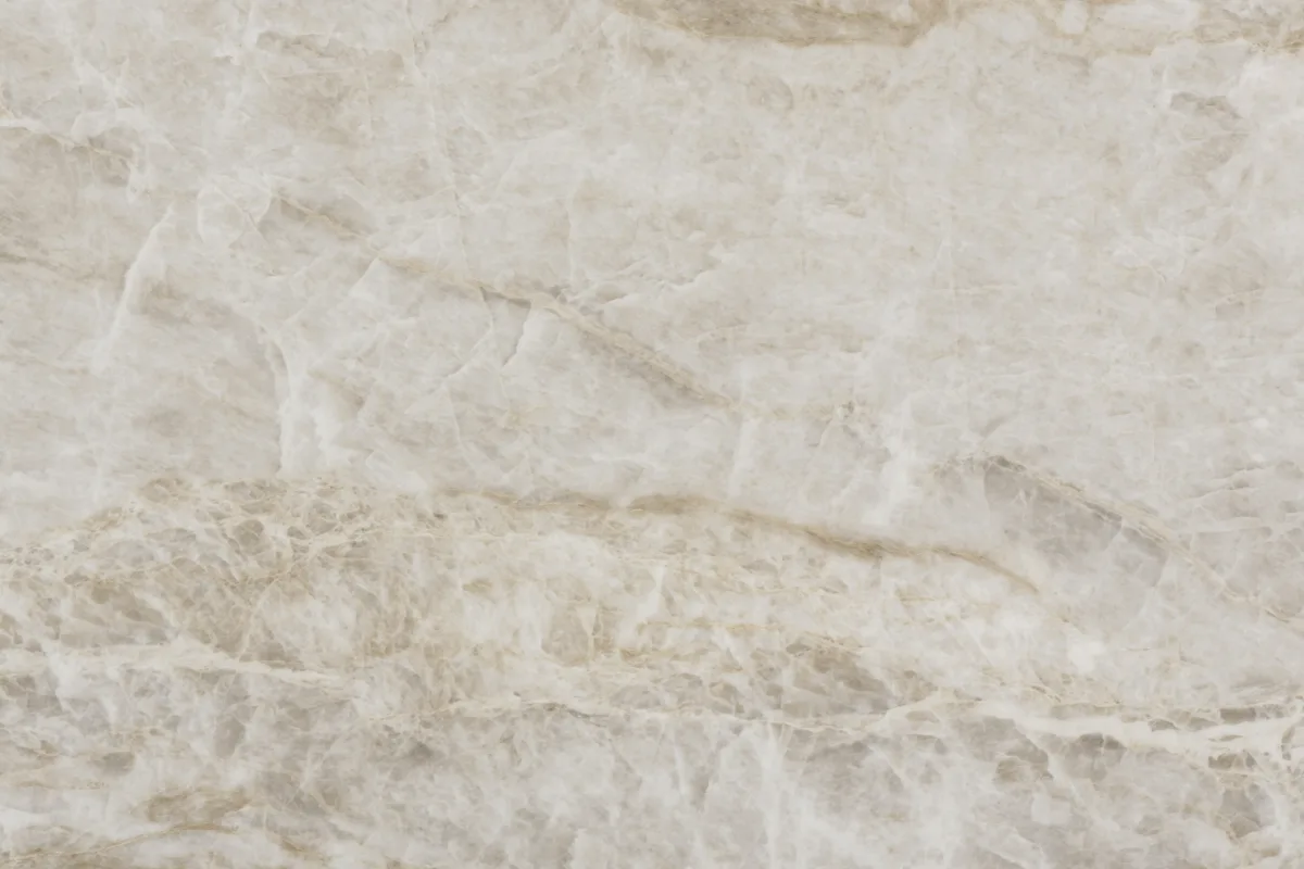 Taga - Detalle V3
