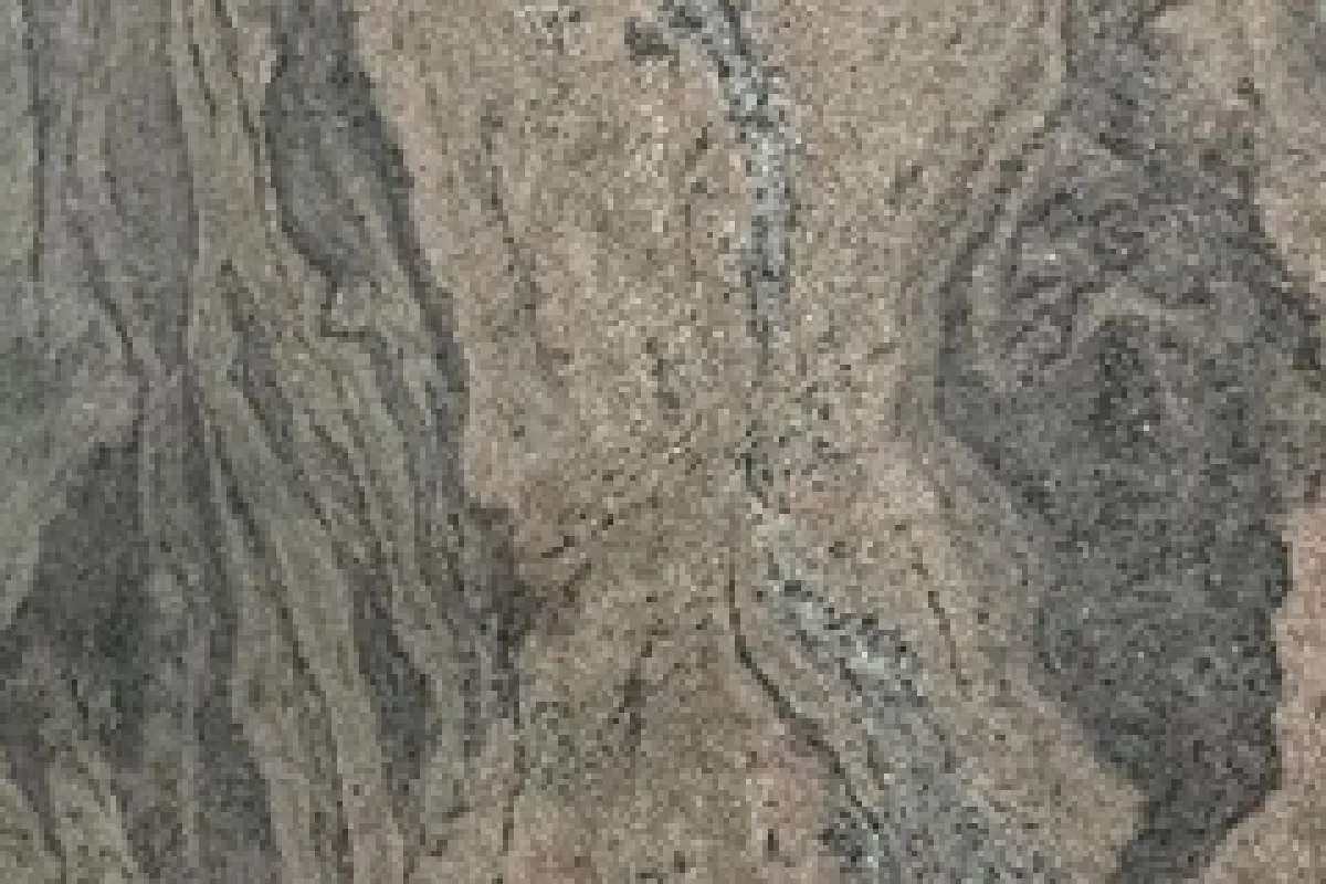 Verde Savanna Red